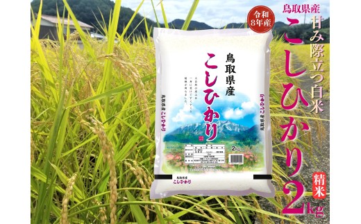 354M.鳥取県産こしひかり◇精米2kg◇令和8年産