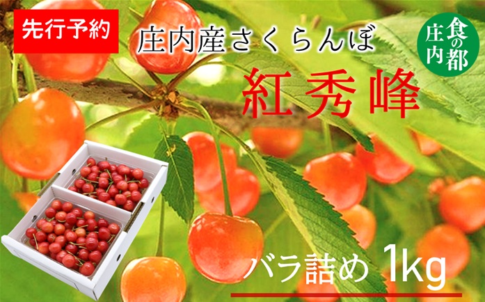 ★先行予約★【令和8年産】食の都庄内　庄内産さくらんぼ「紅秀峰」1kgバラ詰め　※令和8年6月下旬～7月上旬頃発送予定 [HS4-258(庄内旬青果)]