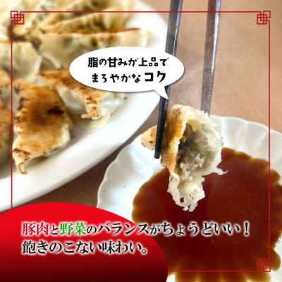 ふるさと納税 境町 【茨城県共通返礼品】◎最短翌日発送◎ ローズポーク使用 冷凍餃子 約120個 (540g×4袋) |  | 02