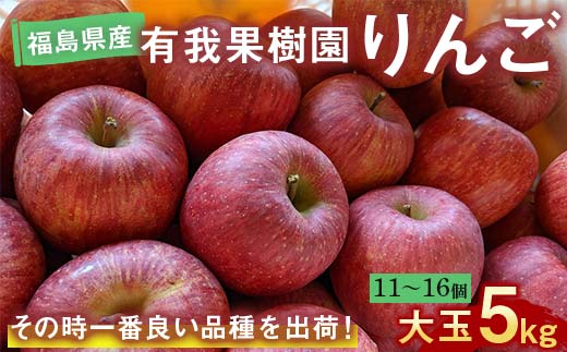 りんご 大玉 11～16個 5kg ＜有我果樹園＞ F7X-0235