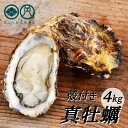 【ふるさと納税】 【2025年2月以降順次発送】 殻付き 養殖 真牡蠣 4kg 加熱用 朝どれ直送！ 30個〜45個 ： 先行予約 殻付き牡蠣 牡蠣 かき カキ まがき 冬の味覚 魚介 海鮮 貝 二枚貝 養殖カキ ナイフ 軍手 レシピ付き 漁師直送 海産物 海鮮 京都 舞鶴 岡山八朗兵衛商店