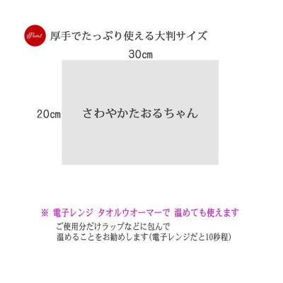 ふるさと納税 新居浜市 ウェットタオル 大判 厚手 さわやかたおるちゃん (32枚入×15個)  【合計480枚】【SPC】 |  | 03