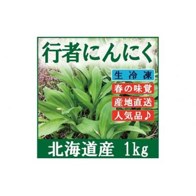 ふるさと納税 岩見沢市 北海道岩見沢市産 令和8年度産 行者にんにく葉(冷凍) 1kg
