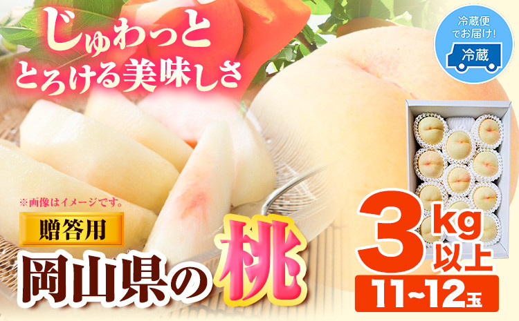 
                  【先行予約】桃 もも 岡山 3kg 以上 11~12玉 岡山県産 亀川農園《6月上旬-8月中旬頃より発送予定》岡山県 浅口市 白桃 果物 フルーツ 冷蔵 【配送不可地域あり】 st-p
                