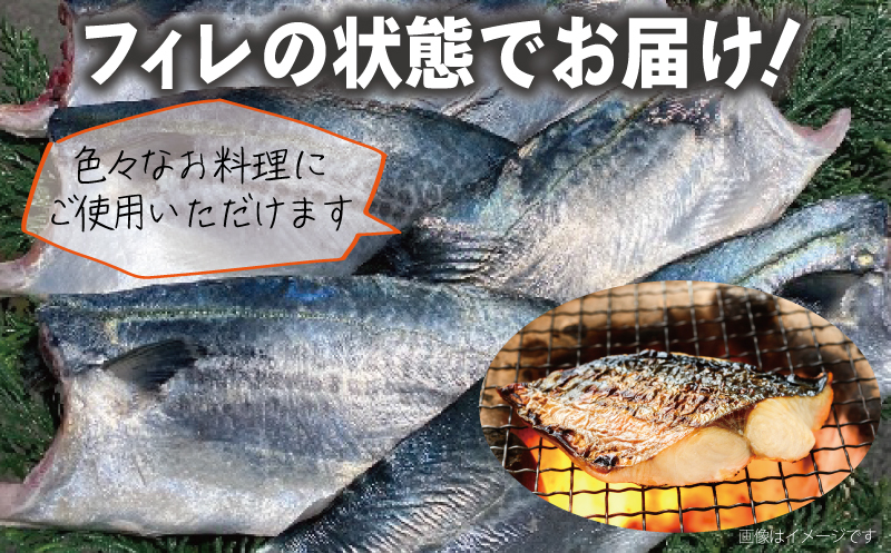 さごしフィレ 合計1kg以上 【小分け 切り身 海産 魚 お弁当 焼き魚 冷凍 惣菜 焼くだけ 訳あり サイズ不揃い】 099H3890_イメージ3