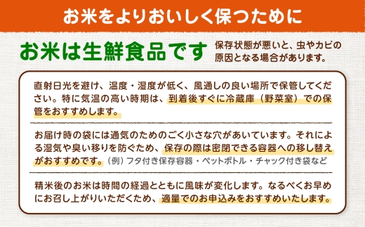 【定期便6ヶ月】【令和8年産】秋田県産あきたこまち(白米)5kg / 米 白米 5kg 令和8年産 秋田県産 あきたこまち 5kg×1袋 おにぎり 大館 東北 秋田 小分け こわけ 大館市 5キロ 5