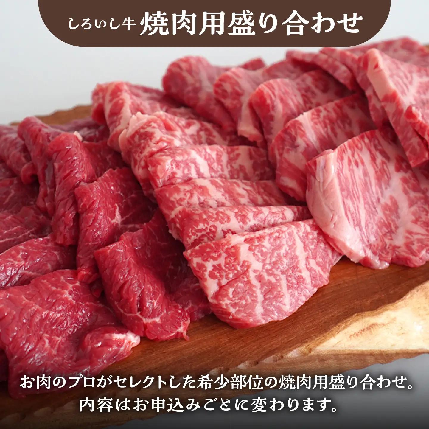 しろいし牛 食卓にうれしいバラエティ セット（切り落とし 500g＆焼肉用 500g） 佐賀セントラル牧場 [IAH194]