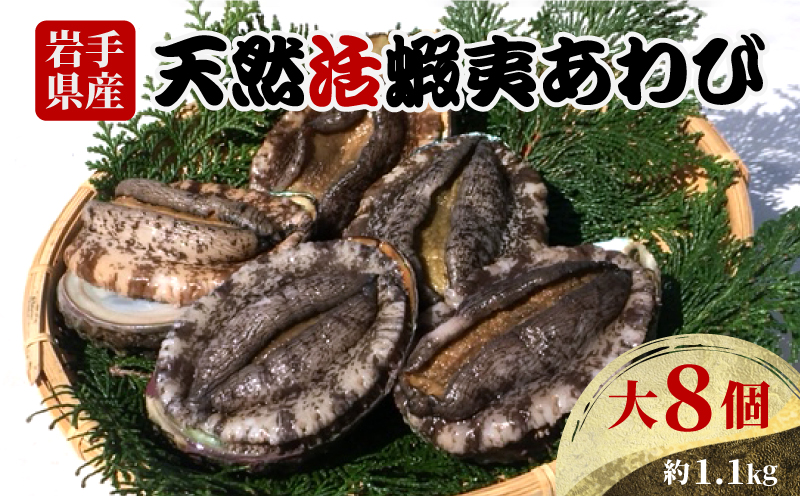 あわび 大サイズ 8個 約1.1kg 冷蔵 鮑 蝦夷あわび 活あわび  あわび アワビ 鮑 Abalone ステーキ  バターソテー 正月 お正月 おせち 刺し身 刺身 バーベキュー BBQ ごはん 夕飯 おかず おつまみ 晩酌 米 丼 海産物 海鮮 魚介 魚介類 贈答品 お中元 お歳暮 大船渡 三陸 岩手県 国産 [56500450_2]