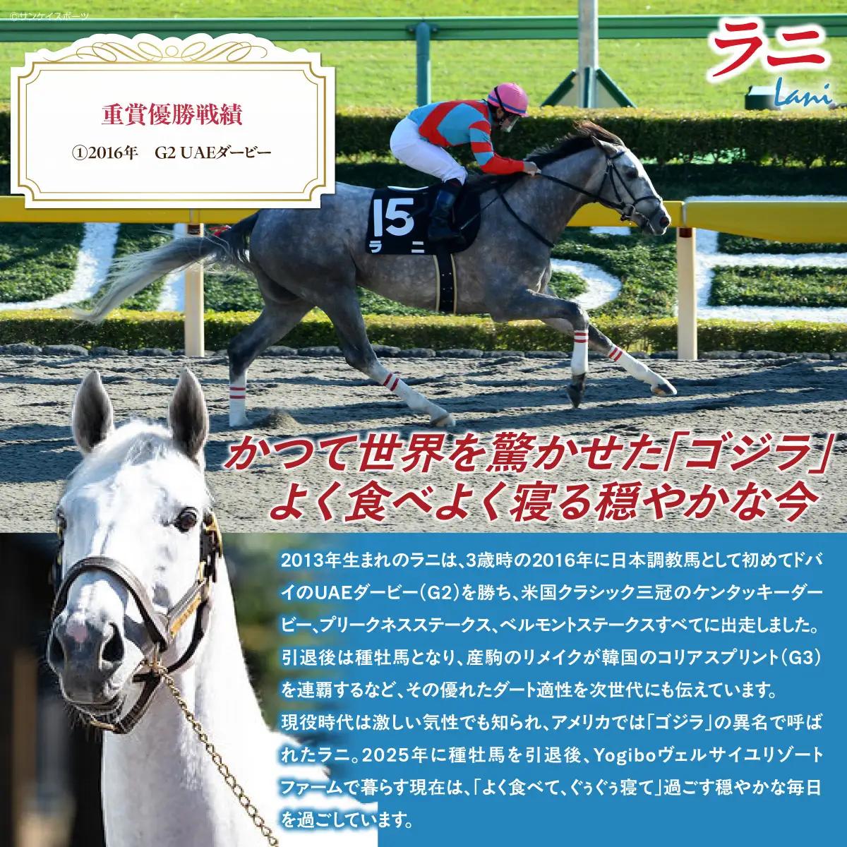 【ラニ】Ｔシャツ 選べる４サイズ【М】 BRTV400-2