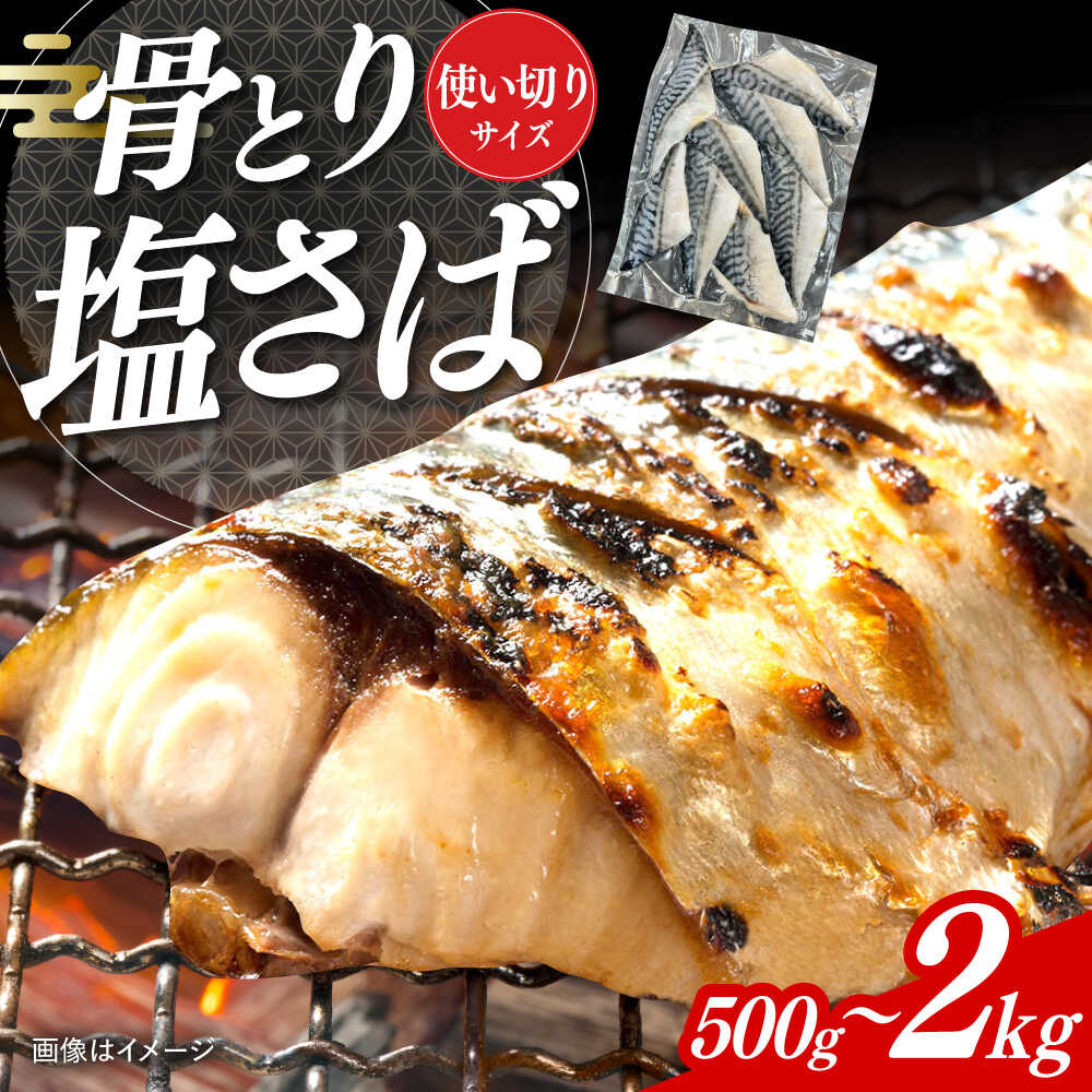 【ふるさと納税】【選べる容量】骨取り塩さば / 小分け / 大村市 / かとりストアー / サバ 骨なし サバ 骨取り 骨取りさば 骨取りサバ 骨無しさば 骨無しサバ 骨抜きさば 骨抜きサバ 下処理不要 子ども 安心 冷凍 さば サバ 鯖[ACAN084]