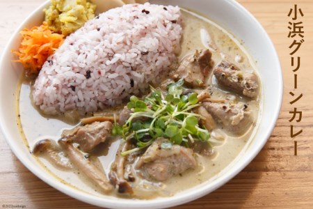 冷凍スパイスカレー 4種 計6食セット キーマ グリーン チキン ポーク 詰め合わせ 食べ比べ / カレーライフ / 長崎県 雲仙市
