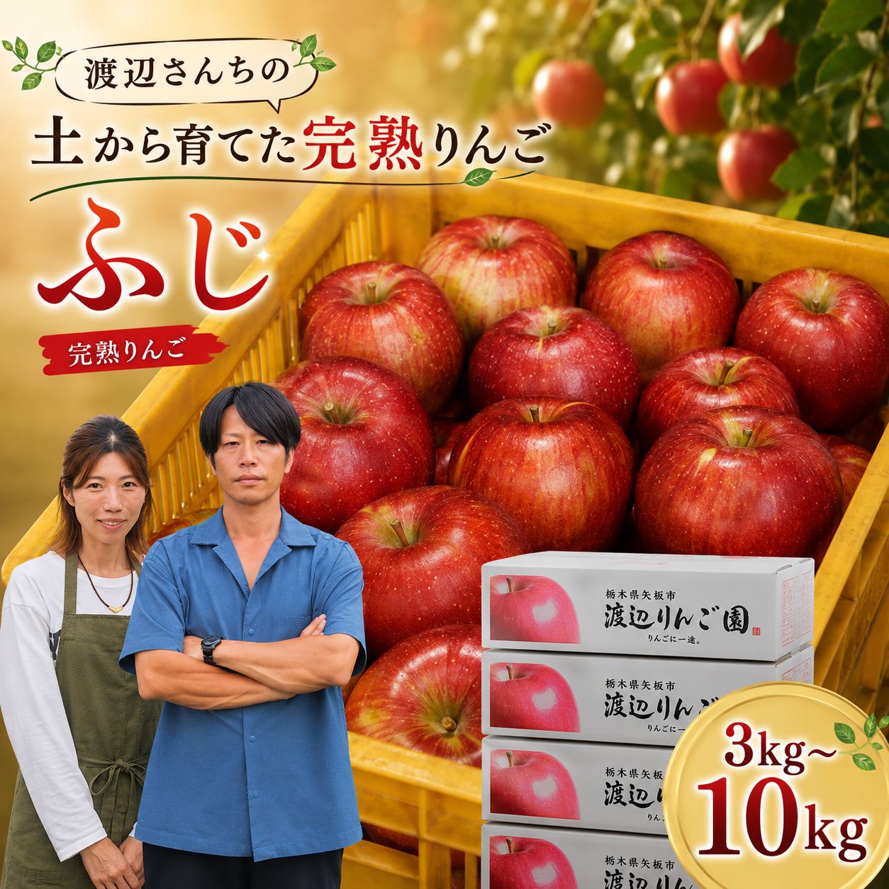 【ふるさと納税】りんご 矢板市産 完熟 ふじ 数量限定 選べる 3~10kg 箱｜リンゴ 林檎 果実 果物 栃木県産 国産 先行予約 内容量 栃木県 矢板市