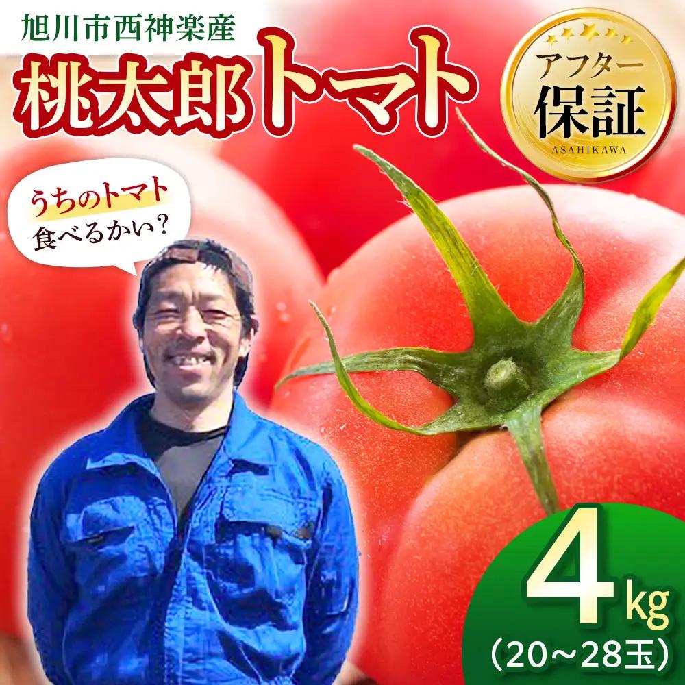 旭川市西神楽産 桃太郎トマト4kg（2026年6月中旬～発送開始予定）トマト _00960