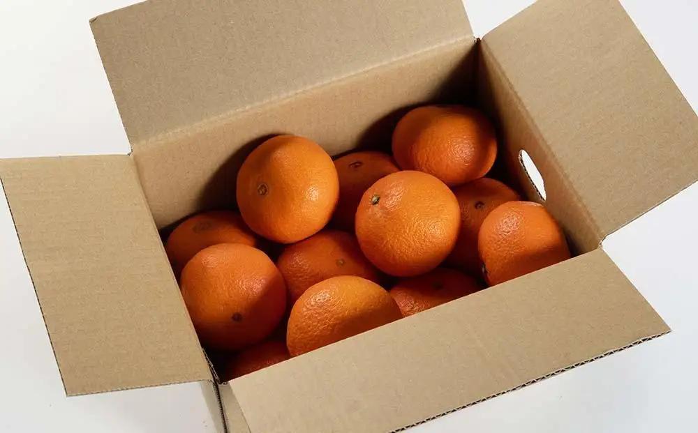 津之輝 3kg 赤秀 津之輝