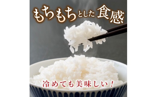 先行予約 葛城山麓米 ヒノヒカリ（白米）計2kg [ 2kg×1袋 ] 令和7年産 【2025年10月下旬～順次発送】／ スマイル葛城農業 精米 ごはん お米 米 おいしい ふっくら 農家直送 奈良県