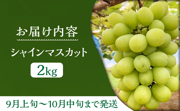 【先行予約】シャインマスカット 2kg 《豊前市》【山田農場 フルーツランド】 [VCY005] ぶどう マスカット 葡萄