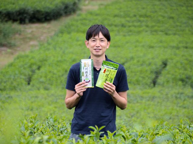 特上煎茶　川根茶「川根の誉」ティーバッグセット６袋