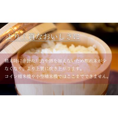 ふるさと納税 南魚沼市 【毎月定期便】南魚沼産コシヒカリ 精米 5kg×2袋全3回 |  | 01