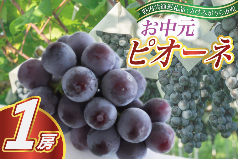 
            お中元　ピオーネ1房(県内共通返礼品:かすみがうら市産) (BR080)
          