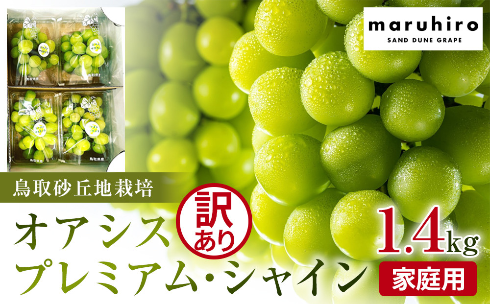 915.【先行予約】シャインマスカットシャインマスカット 訳あり 家庭用 鳥取砂丘地産 1.4kg（350g×4パック） ※離島への配送不可 ※2025年8月下旬～10月下旬頃に順次発送予定 313726_BF009