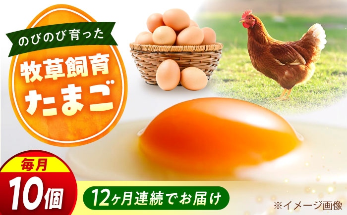 【全12回定期便】天心山 たまご 10個入り×1パック 卵 たまご 高級 食品 たまごかけご飯 卵かけご飯 卵焼き 生卵 濃厚 ケーキ お菓子 づくり ランキング 上位 人気 おすすめ 定期便　広島県
