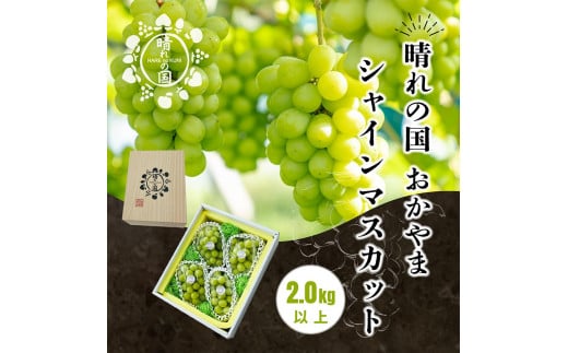 【先行予約　2025年9月上旬発送〜】岡山県産シャインマスカット 2.0kg（3〜4房）