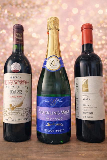 塩尻ワイン入門の第一歩 はじめての塩尻ワイン3本セット | ワイン わいん ワイン スパークリングワイン 赤 お酒 おさけ 酒 さけ メルロ ナイアガラ ブラッククイーン 五一わいん 林農園 アルプス 井筒ワイン 塩尻市 長野県 信州