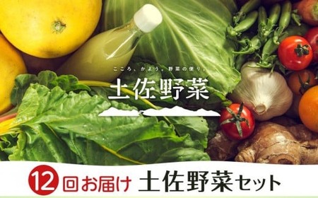 やさい 12回定期便 土佐野菜セット やさい