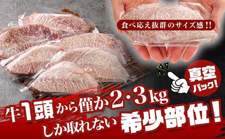 【年内お届け】宮崎牛ミスジステーキ 約100g×6枚(真空)≪2024年12月20日～31日お届け≫_AC-8918-HNY_(都城市) 宮崎県産宮崎牛 1枚ずつ真空 ミスジステーキ 希少部位