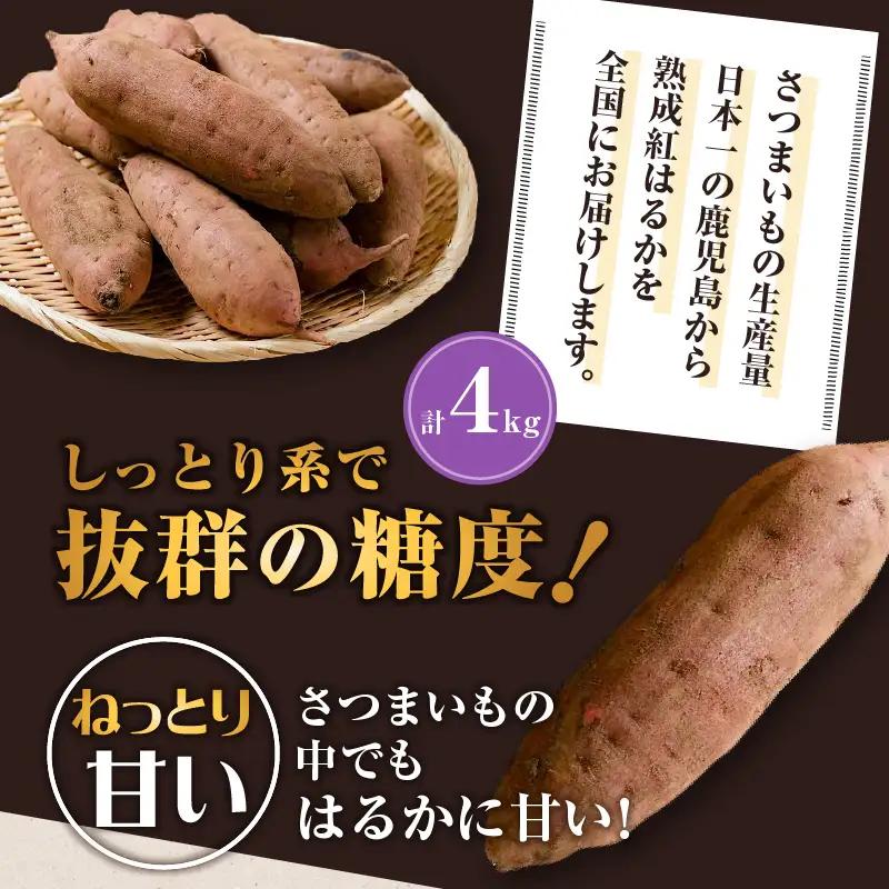 焼き芋 さつまいも 紅はるか 生芋 4kg 【畑の金貨】 K181-006