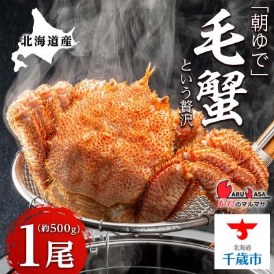 ふるさと納税 千歳市 北海道産【朝ゆで】毛ガニ(500g前後)1尾 期間限定!＜かにのマルマサ＞