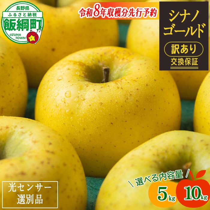 【ふるさと納税】 りんご 信州 訳あり 10kg 5kg 果物 長野 シナノゴールド 交換保証 感謝りんご 光センサー 不揃い 規格外 傷あり 家庭用 フルーツ 林檎 人気 黄色 11月 11月発送 R8年11月上旬頃～11月下旬頃発送予定 長野県 飯綱町