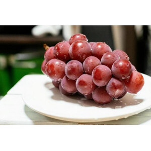 ＜2025年9月より順次発送予定＞ゴルビー　桐箱入り2房(県内共通返礼品:かすみがうら市産) (BR115)