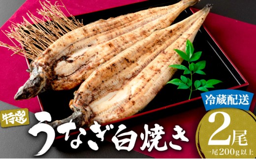 ＜土用の丑の日（7月26日）着＞うなぎ白焼き 400g (200g×2尾) ／うなぎ 鰻 ウナギ 蒲焼 蒲焼き 土用 丑の日 特選 肉厚 たれ 国産 ふるさと 鰻丼 鰻重 うな重 うなぎたれ ギフト 贈り物 佐賀 佐賀県 送料無料 冷蔵