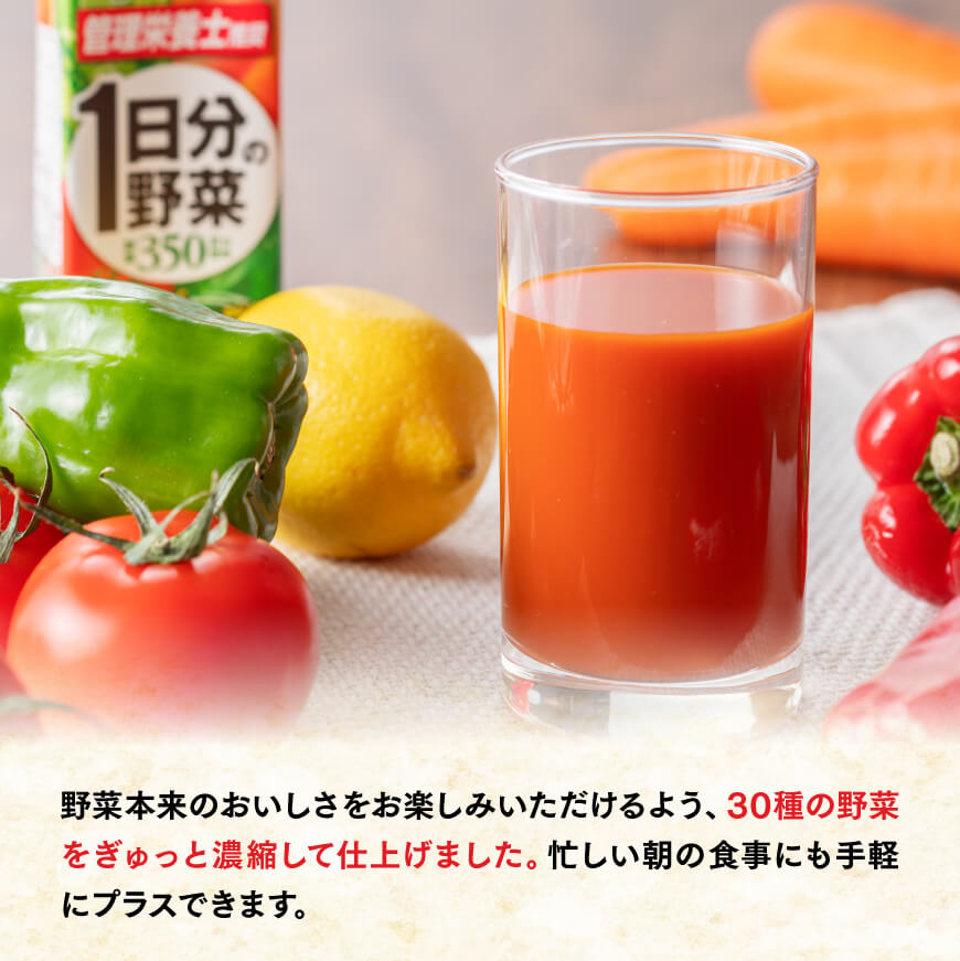 伊藤園 1日分の野菜（紙パック）200ml×48本 【伊藤園 飲料類 野菜ジュース 野菜 ジュース ミックスジュース 飲みもの】[E7343]