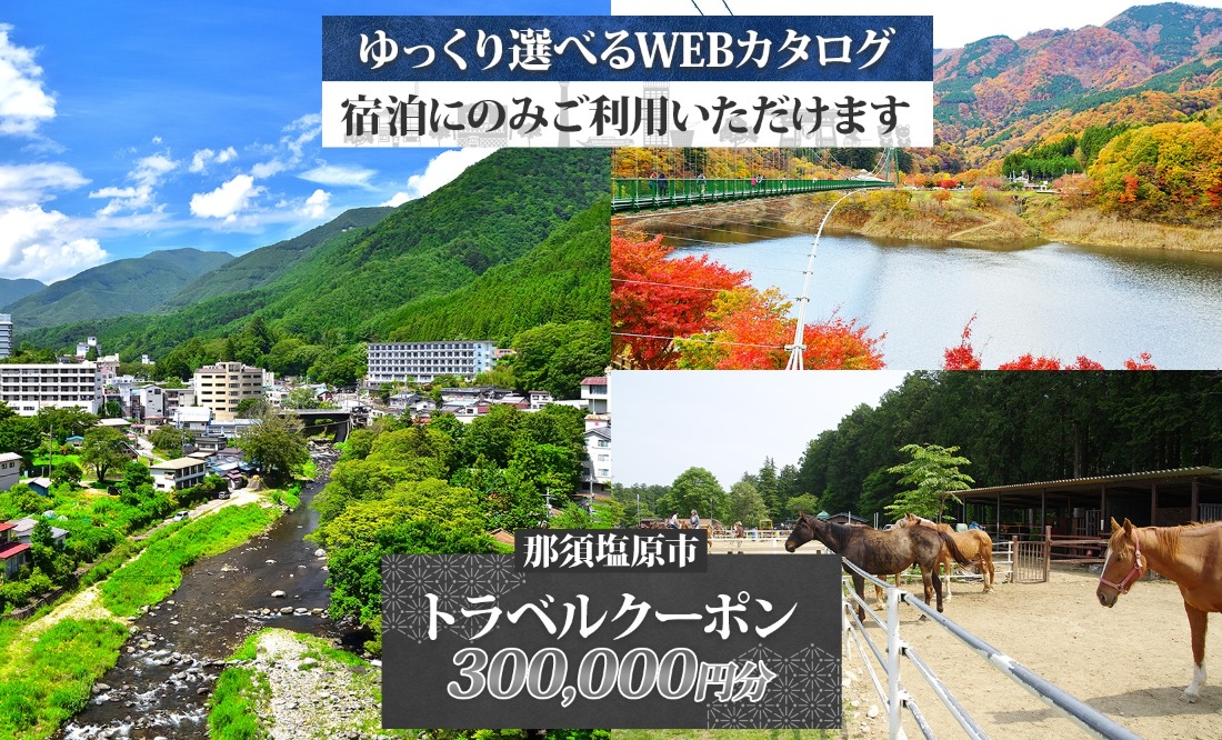 ns124-004 那須塩原市 後から選べる旅行Webカタログで使える！ 旅行クーポン（300,000円分）旅行券 宿泊券