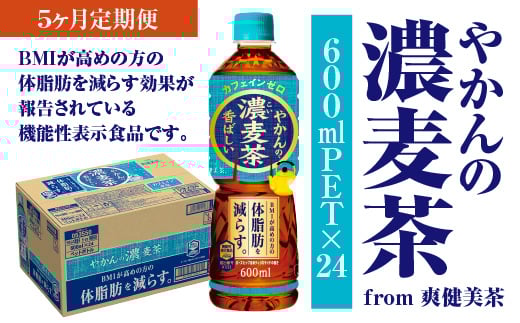 【5か月連続お届け】やかんの濃麦茶 from 爽健美茶 600ml PET×24本　コカコーラ 麦茶 茶 お茶 カフェインレス ペットボトル 常備 備蓄 定期便 蔵王 【04301-0931】