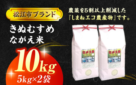 米 炊きたてが美味しい！松江市産きぬむすめ「ながえ米」10kg(5kg×2) 島根県松江市/有限会社藤本米穀店[ALCG001] 米 米