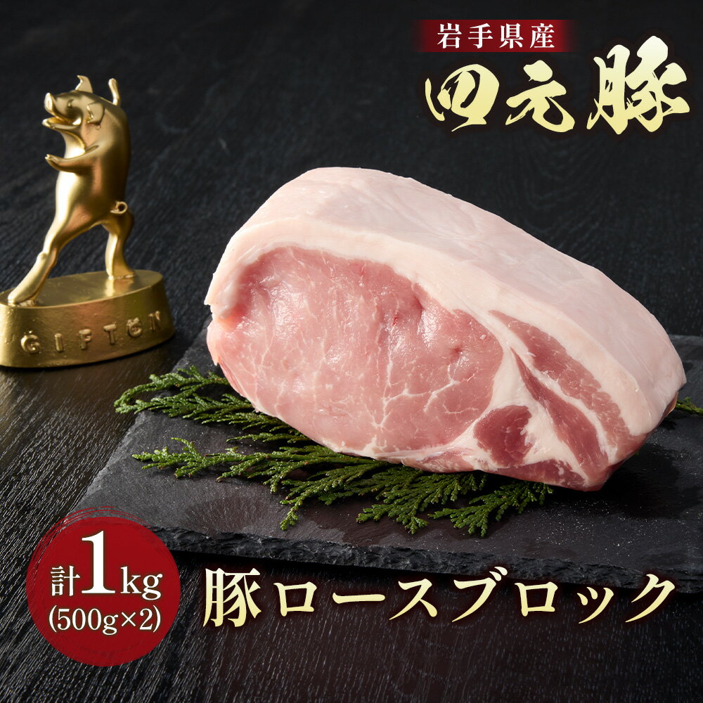 【ふるさと納税】ブランド豚 四元豚 豚ロース ブロック 1kg 500g 2パック GIFTON 豚肉 冷凍 ギフト 贈り物 お歳暮 年末年始 大晦日 年越し お正月 パーティー ステーキ しゃぶしゃぶ 料理 ストック かたまり肉 ごえん株式会社