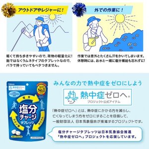 カバヤ 塩分 チャージ タブレッツ 1袋 スポーツ ドリンク 味 熱中症対策 塩分補給 タブレット 【ラムネ】【ho1641】