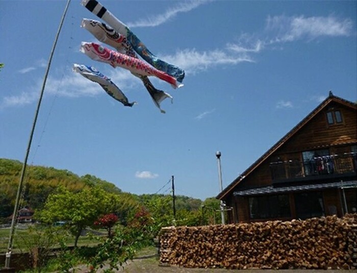 薪ストーブに最適！しっかり暖かい「カシ・クヌギ」乾燥薪（30cm）12kg アウトドア キャンプ 暖炉 焚き火 002005