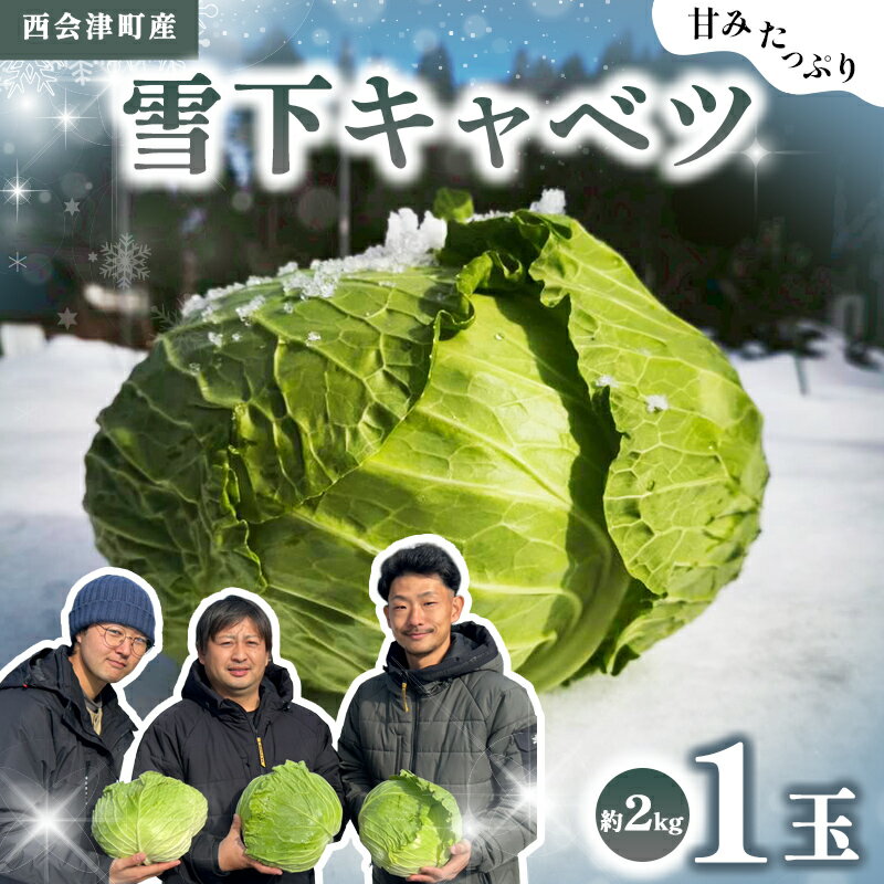 【ふるさと納税】 甘みたっぷり 雪下キャベツ 約2kg 野菜 キャベツ 食品 西会津 F4D-2175