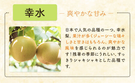 梨 幸水 5kg 先行予約矢畑むらづくり組合《7月下旬-8月下旬に出荷予定》【栃木県共通返礼品　栃木県産】【配送不可地域あり】(離島)梨梨梨