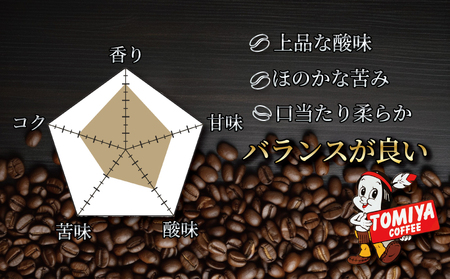 簡単便利 ドリップバッグ コーヒー 120杯分 ドリップ