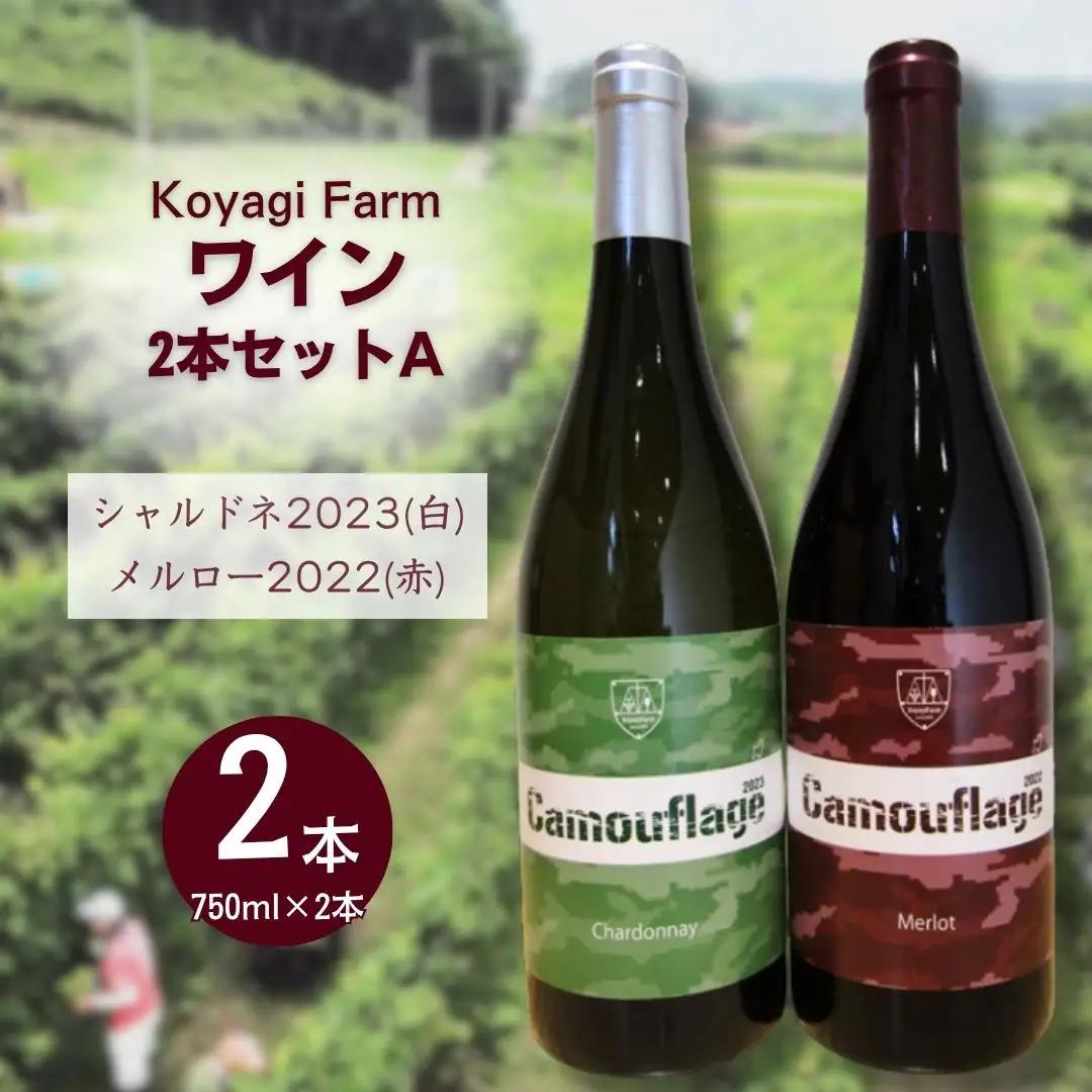 ワイン 2本セット メルロー / シャルドネ