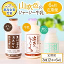 【ふるさと納税】 6ヶ月 定期便 山吹色のジャージー牛乳 3種 12本 飲むヨーグルト カフェオレ コーヒー牛乳 6回 黒川温泉 詰め合わせ セット 乳製品 飲料 健康 腸活 免疫力アップ 乳酸菌 ご当地牛乳グランプリ 最高金賞 ご当地 ギフト 山のいぶき 熊本 阿蘇 南小国 送料無料