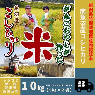 ふるさと納税 南魚沼市 【令和7年産】特別栽培米　がんこおやじが作った南魚沼産コシヒカリ　10kg(5kg×2袋)