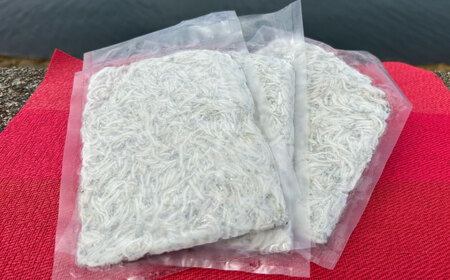 生しらす 100g×3個 しらす [XBY013] しらす しらす しらす しらす