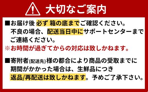 ★北海道・東北・新潟県・沖縄・離島配送不可★山口県宇部産 活き車海老 (680g)