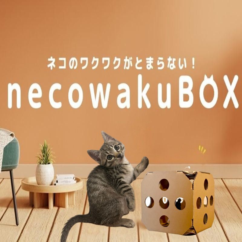 necowakuBOX|ねこわくBOX ねこわくぼっくす ねこ 猫 ネコ ペット おもちゃ ペット用品